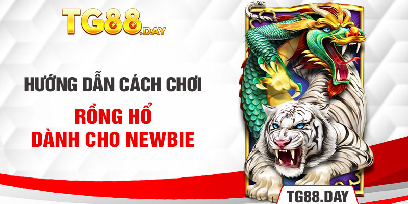 Hướng dẫn cách chơi Rồng Hổ dành cho newbie