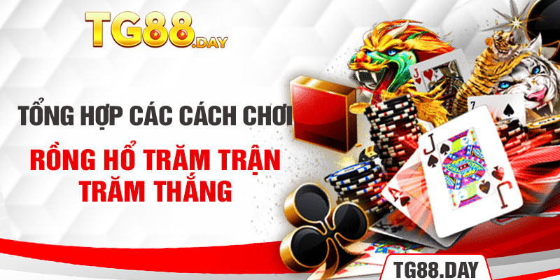 Tổng hợp các cách chơi Rồng Hổ trăm trận trăm thắng