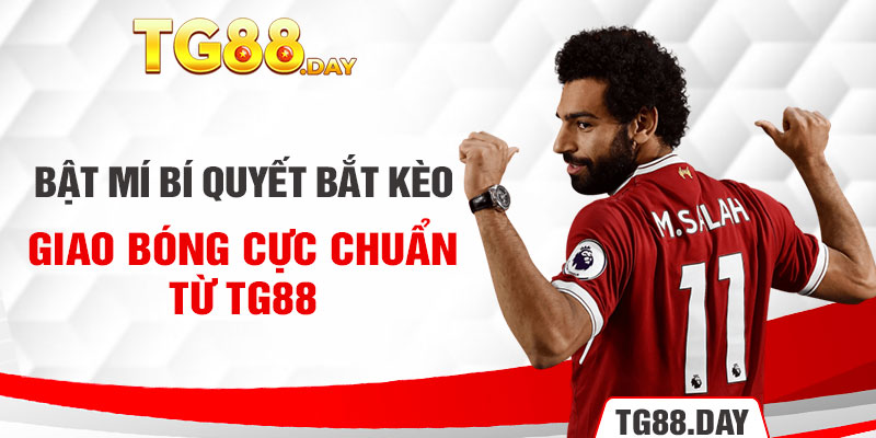 Bật Mí Bí Quyết Bắt Kèo Giao Bóng Cực Chuẩn Từ TG88