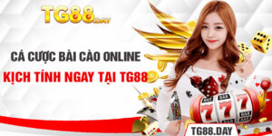 Cá Cược Bài Cào Online Kịch Tính Ngay Tại TG88