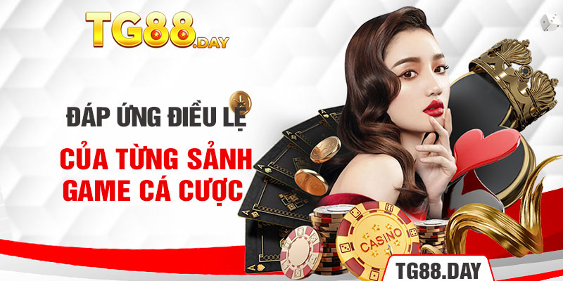 Đáp ứng điều lệ của từng sảnh game cá cược 