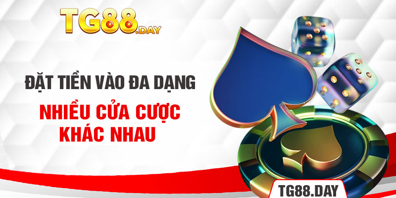 Đặt tiền vào đa dạng nhiều cửa cược khác nhau 