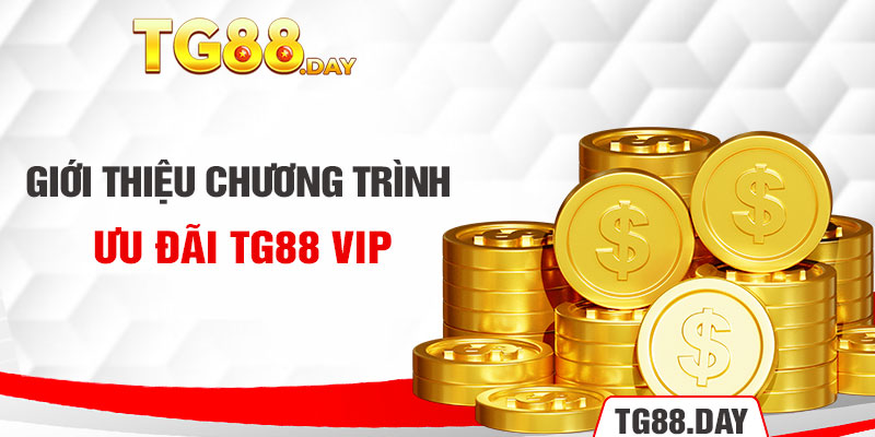 Giới thiệu chương trình ưu đãi Tg88 VIP 